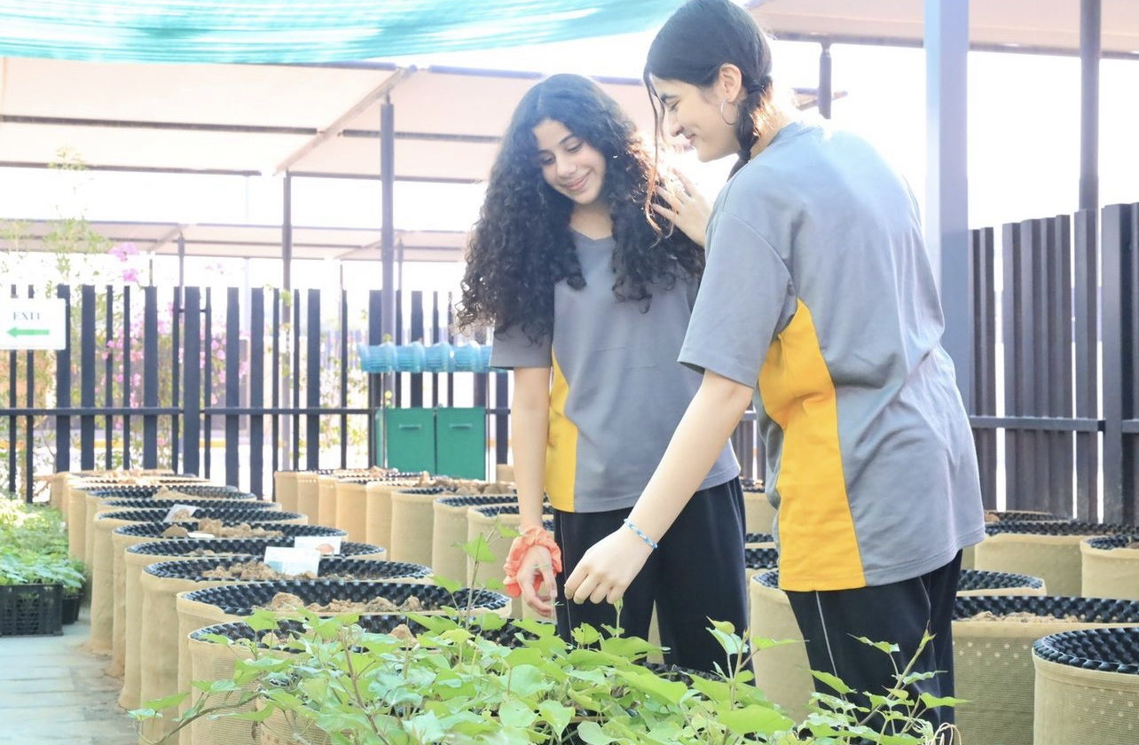 Ignite Programme Hale School - Premium Ocean Pattern Gallery - Desktop